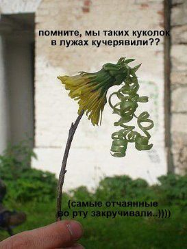 Эх детство..зато какое..