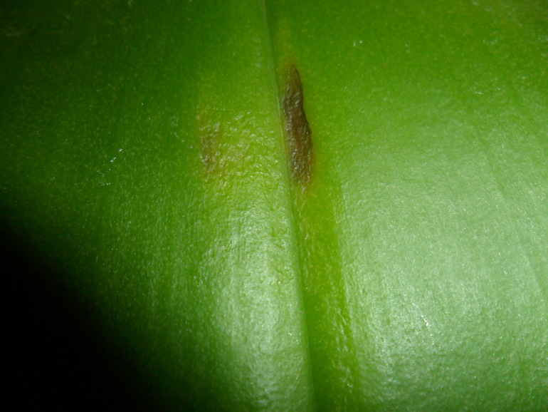 Успокойте меня......