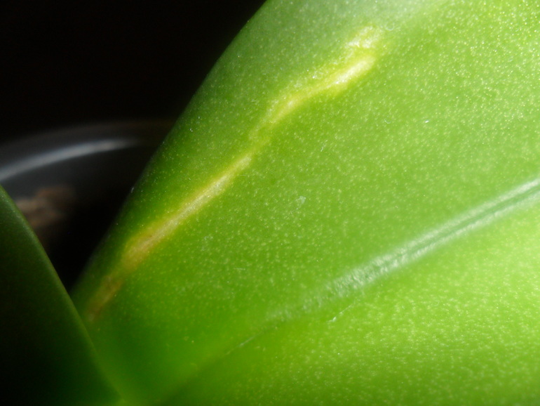 Успокойте меня......