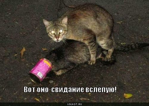 Идеальное свидание, на которое Вы бы хотели, что бы Вас пригласили.