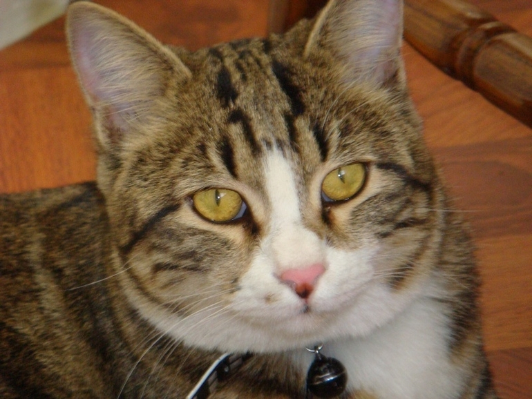 Мои попики!))))