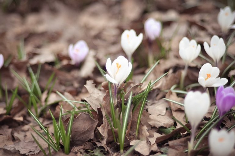 С праздником!