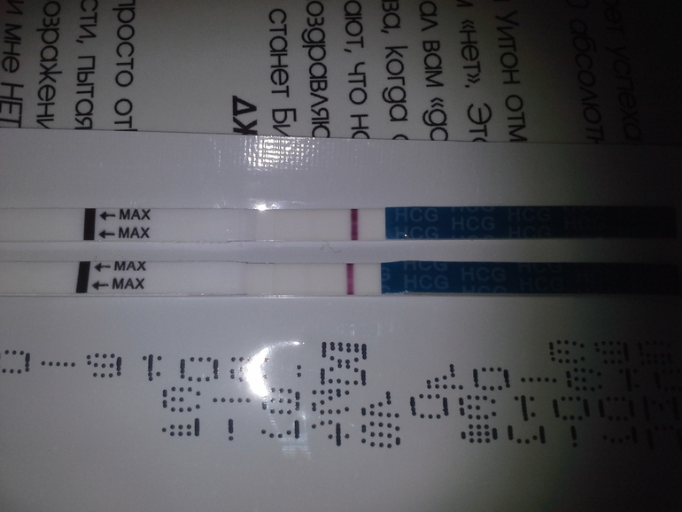 у кого зоркий глаз