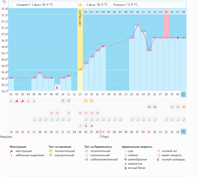 мой график беременный