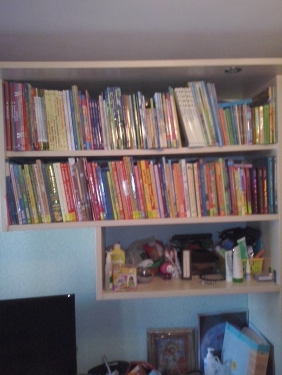 Моя библиотека (просто хочется похвастаться:)