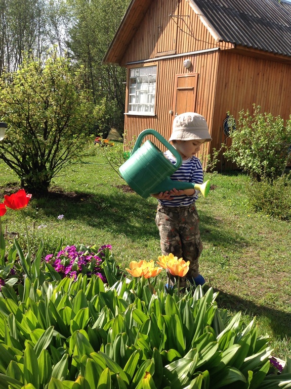 Сидим на даче
