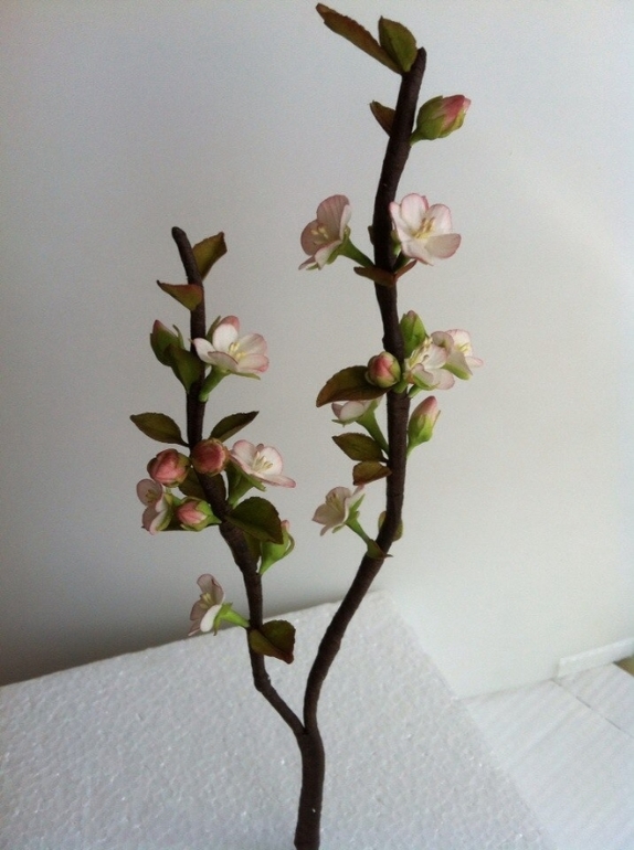 Сахарные цветы