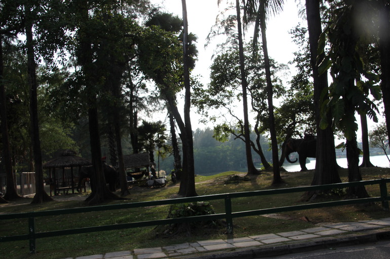 Две недели лета