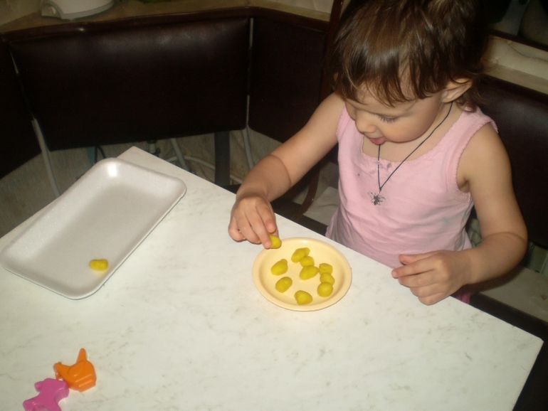 ТН Домашние животные Кошка