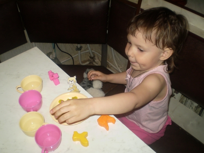 ТН Домашние животные Кошка