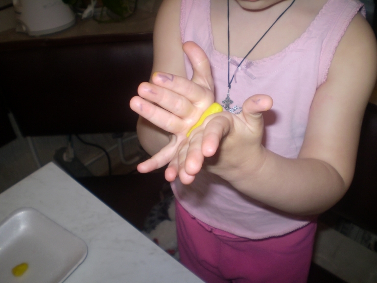 ТН Домашние животные Кошка