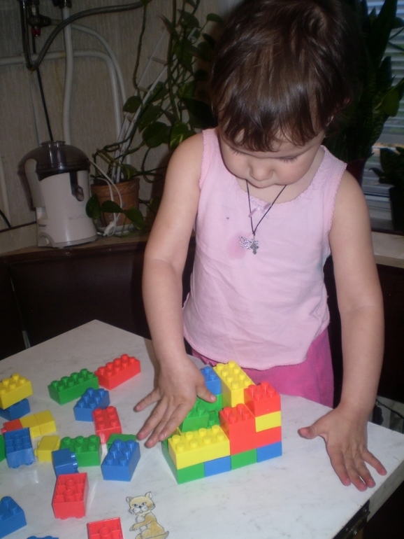 ТН Домашние животные Кошка