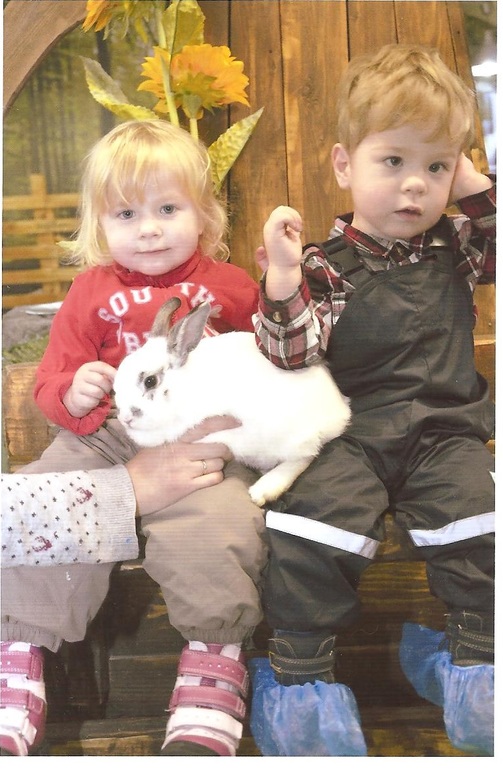 контактный зоопарк