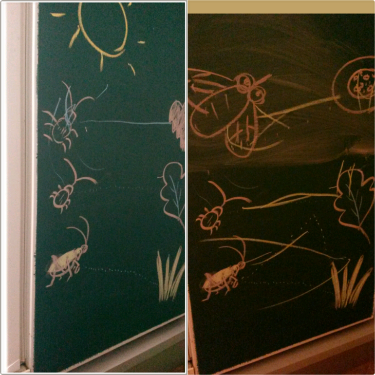 Насекомые понедельник
