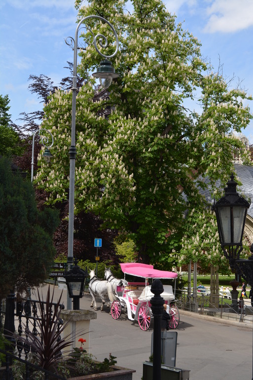 Чехия,Карловы Вары в мае