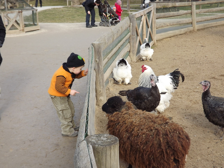 Февральские прогулки