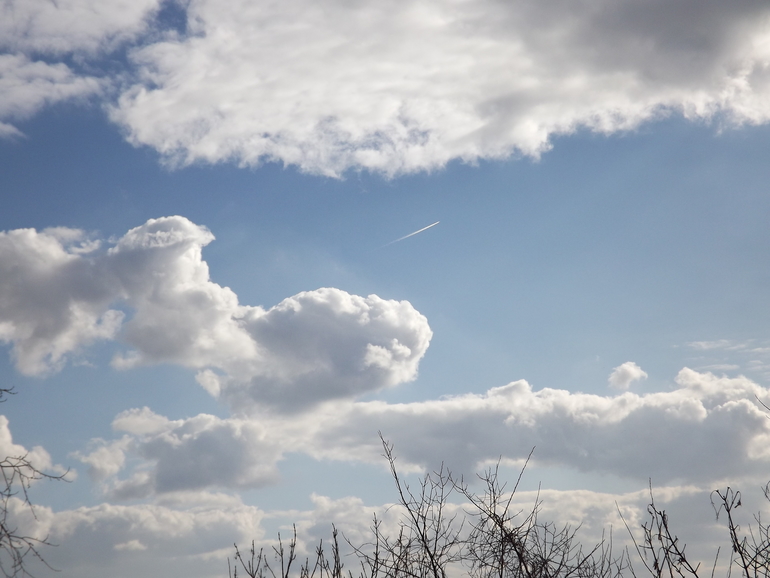 Февральские прогулки