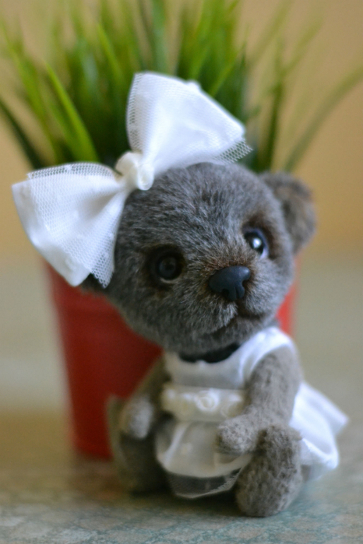 Наши новые малыши из меха