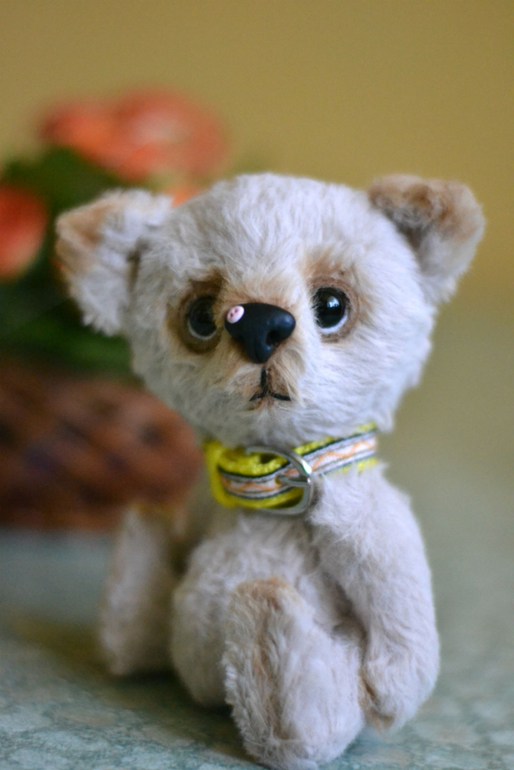 Наши новые малыши из меха