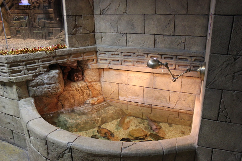 Насыщенная суббота