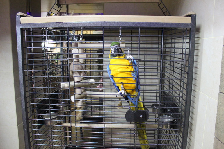 Насыщенная суббота