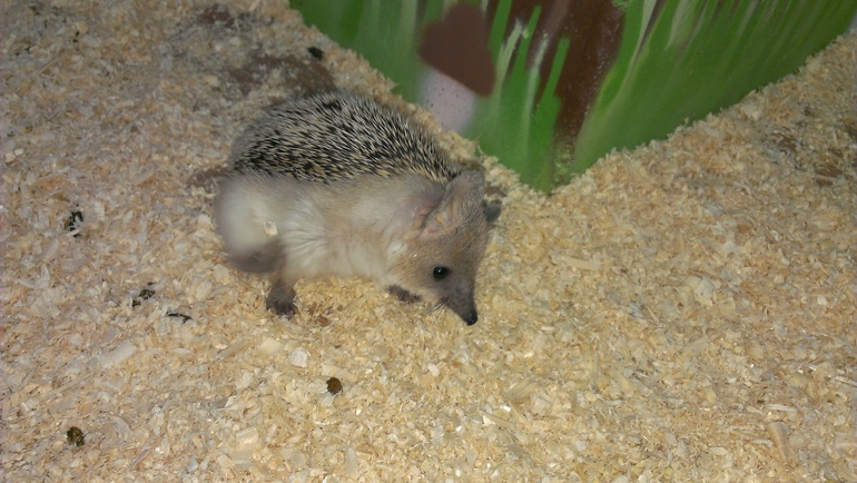 Насыщенная суббота