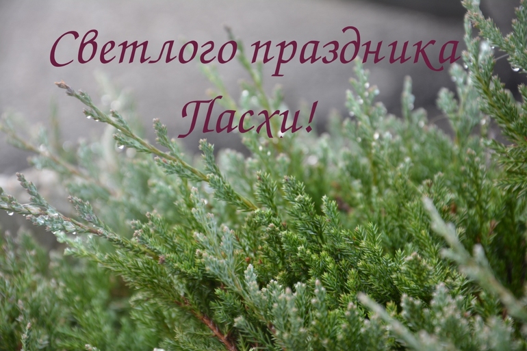 Христос Воскресе!
