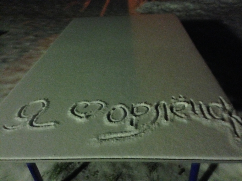 Новогодние каникулы