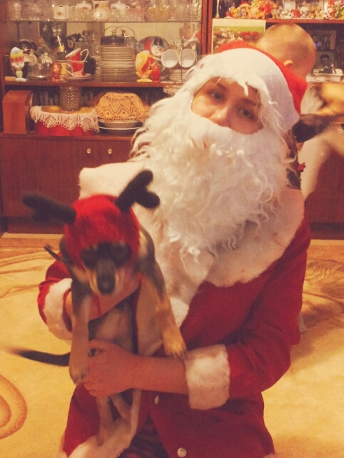 Собачьи шапки