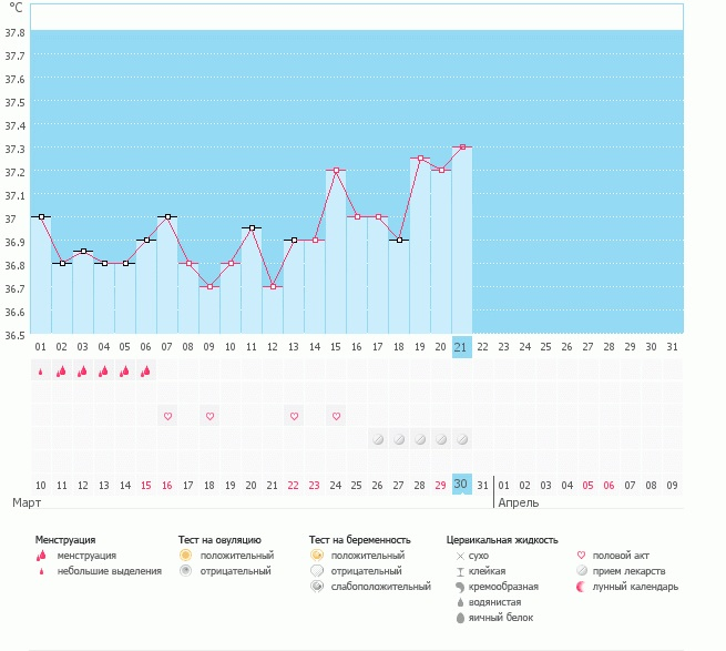 Когда была овуляция?