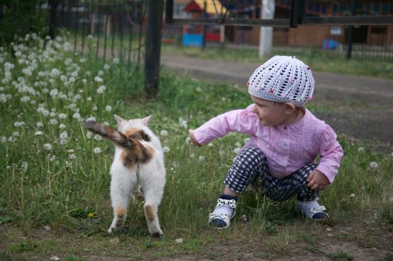 Проявляя интерес...(нам 2,4 сегодня!)