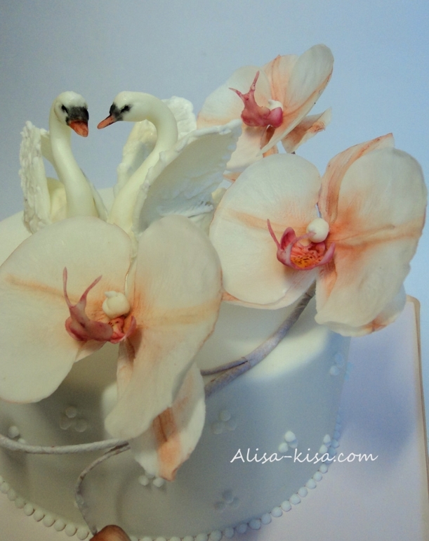 моих чуть-чуть...