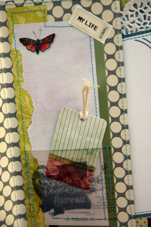 Альбом "семья"