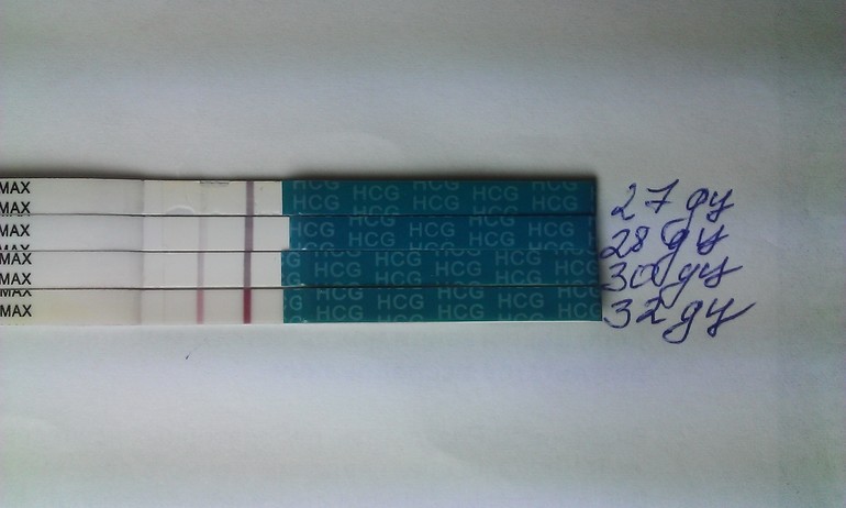 Мои полосочки!!!