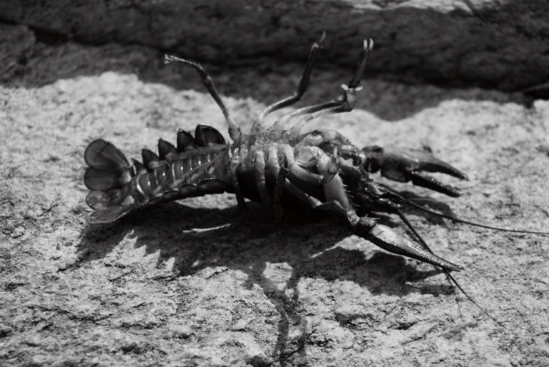 Контрольное задание № 18. Карта градиента