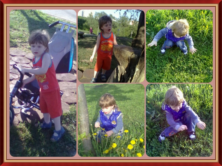 мой хулиган