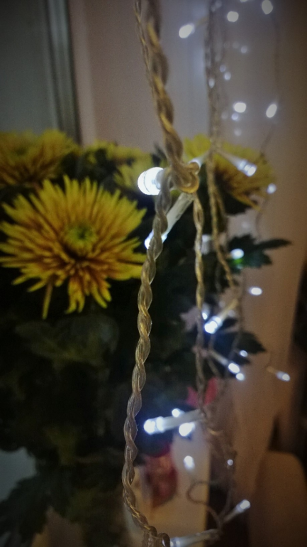 день варенья