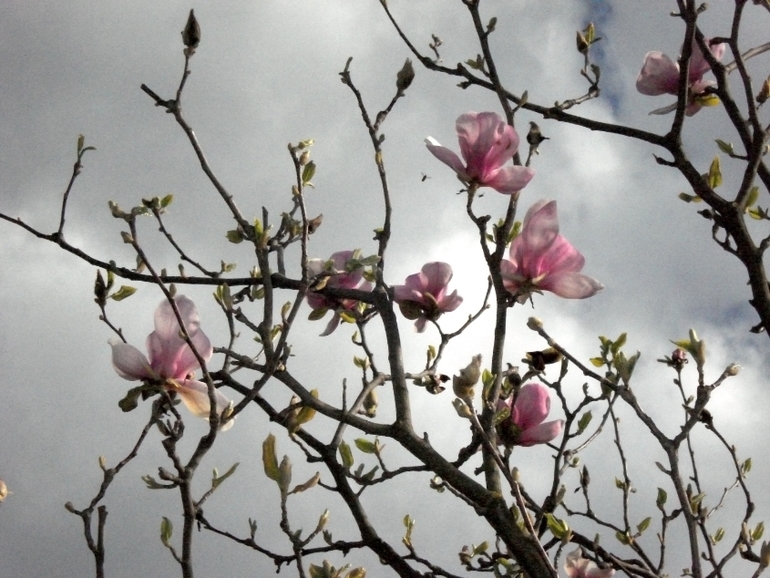 парк (20.04.2014)