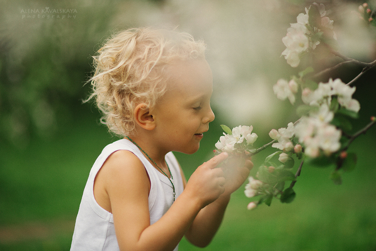 Чудики в облаках