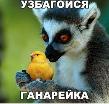 Я ЗБАГОЕН!