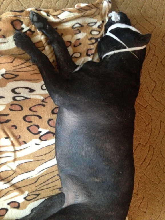 Мафия с "подбитым" глазом