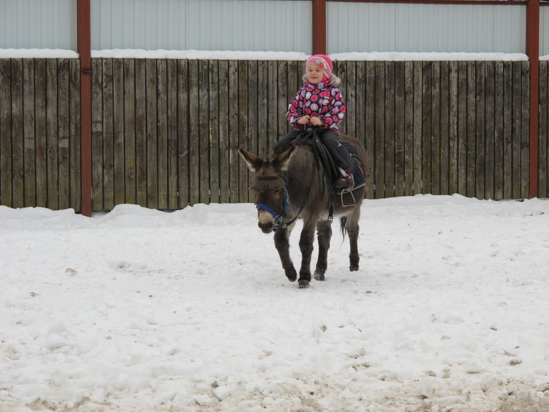 Зимние каникулы