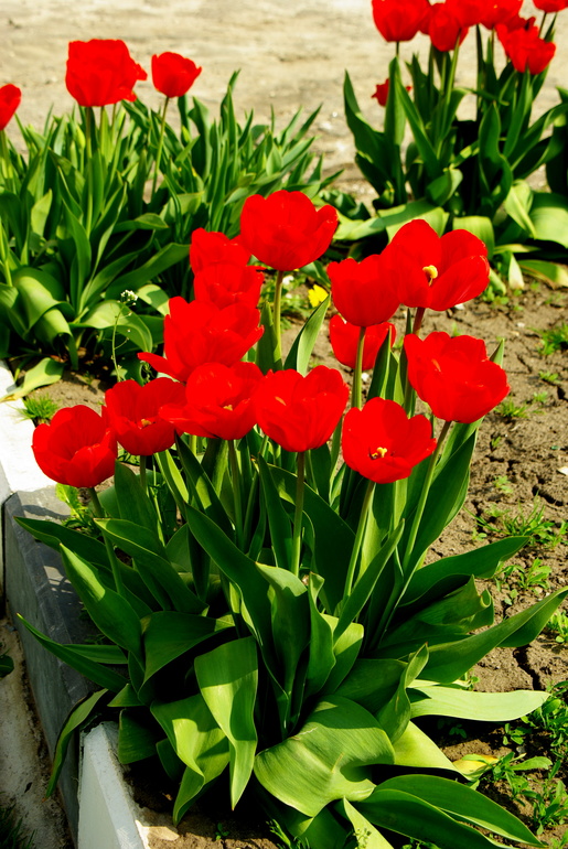 Дединово 02.05.2014