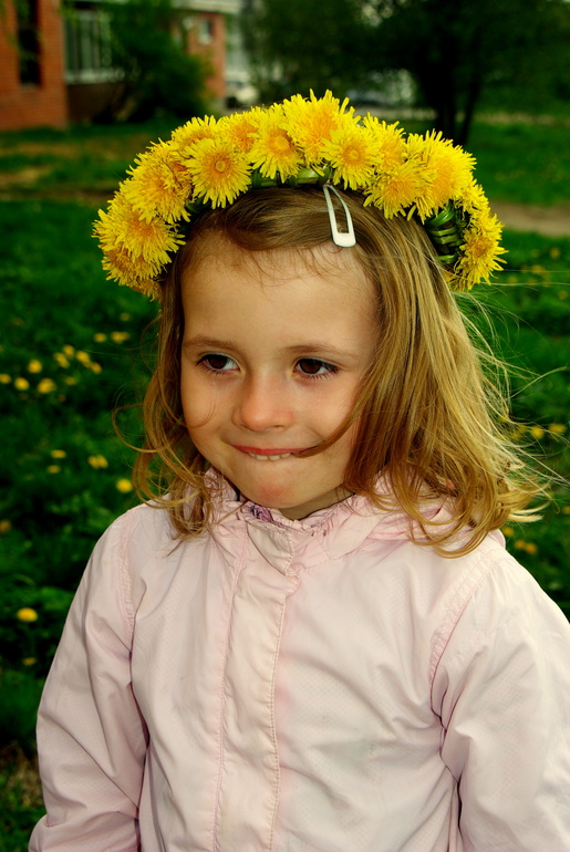 Луховицы (МО)