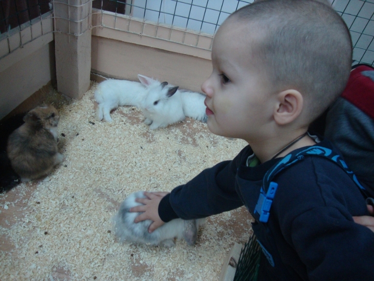 Контактный зоопарк в Теплом стане