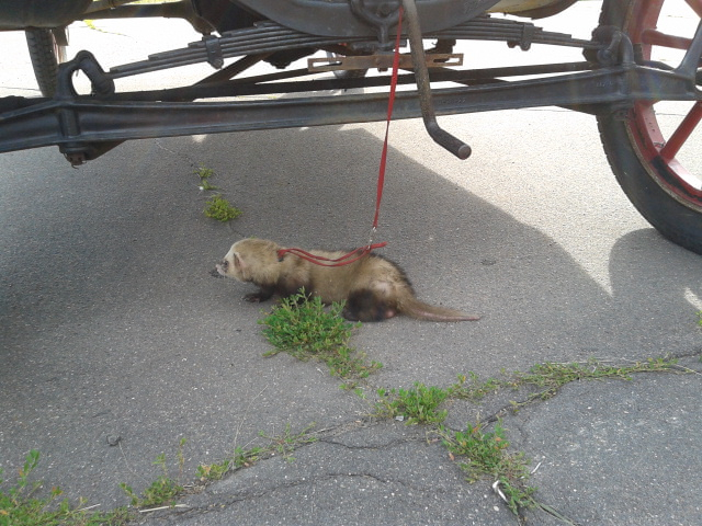 Парк Кузьминки: настоящее и прошлое в одном флаконе