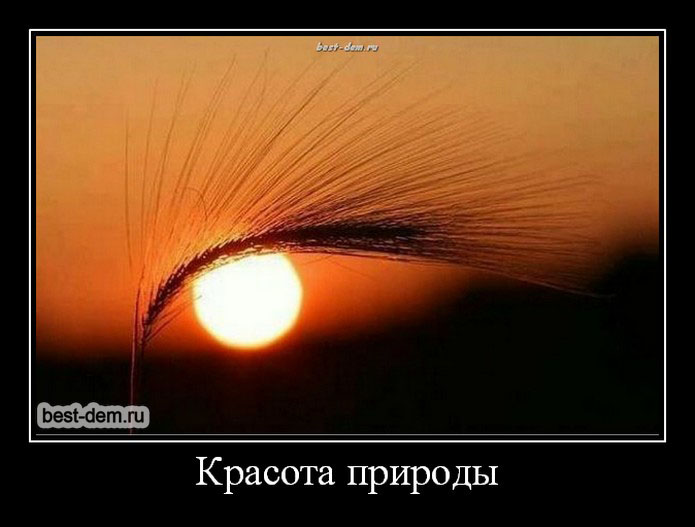 Планы на 2014 год