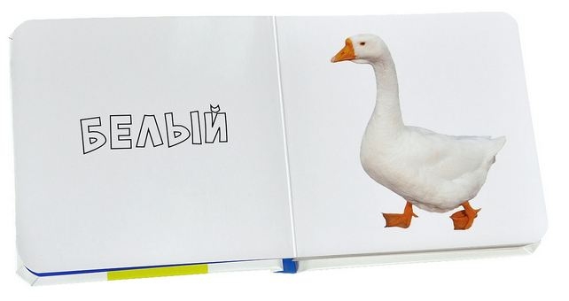 Новинки Клевера