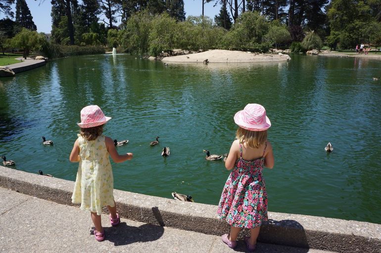 Позитив калифорнийских выходных.