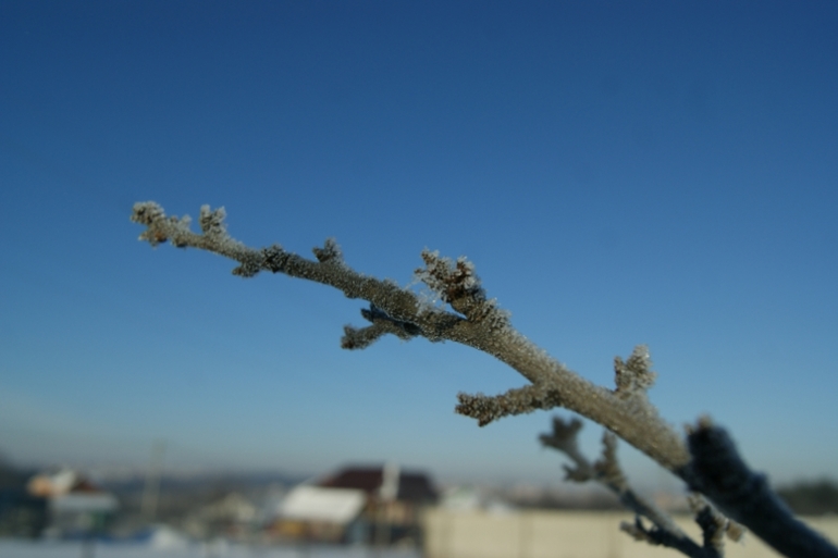 морозный день